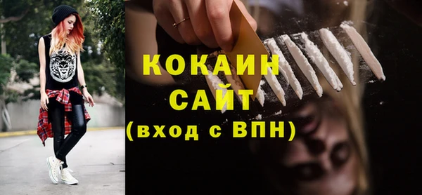 стаф Богданович