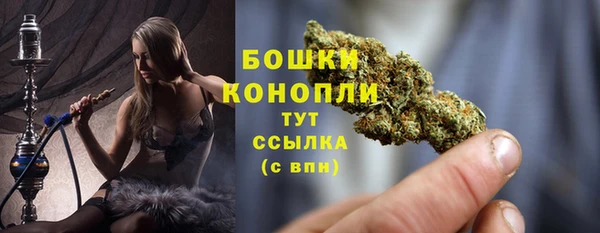 эйфоретик Богородицк
