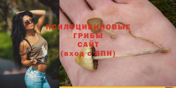 эйфоретик Богородицк