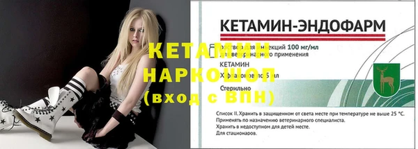 стаф Богданович