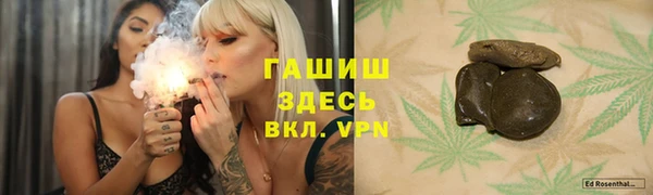 стаф Богданович