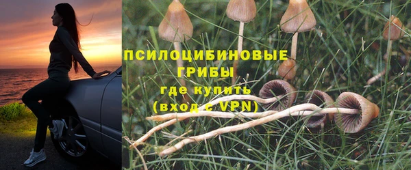 jwh Богородск