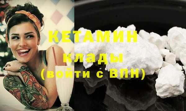 стаф Богданович