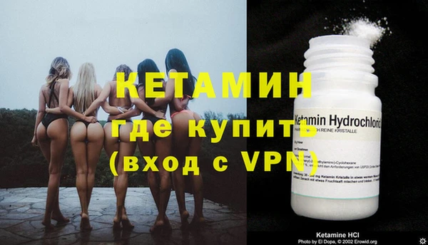 стаф Богданович