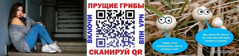 наркота Оренбург Галлюциногенные грибы мухоморы